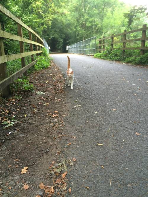 집사가 되는 과정 | 인스티즈