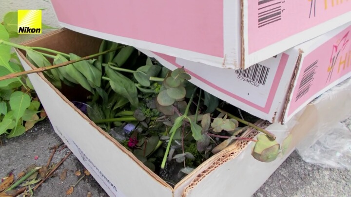 강아지의 심장이 뛰면 사진이 찍히는 사진기.jpg | 인스티즈