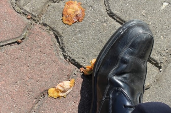 곧 만나게 될 아이들 | 인스티즈