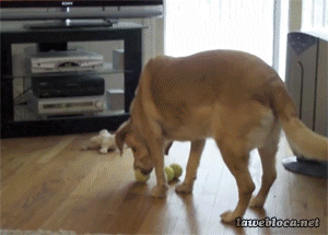 왔다갔다하기 귀찮으니 한번에 .GIF | 인스티즈