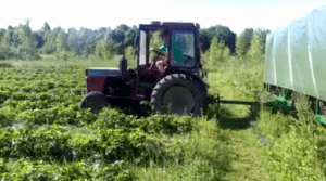 [움짤] 엎드려서 일하는 알바 | 인스티즈