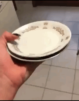 소리에 반응하는 댕댕이 | 인스티즈