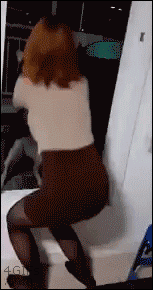 우리집 개는 안 물어요.gif | 인스티즈