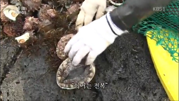 SNS용 사진한장 찍으려 했을뿐인데 인터넷에서 점점 유명해져감 | 인스티즈