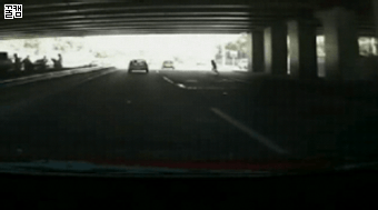 짐승보다 못한... | 인스티즈