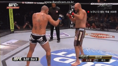 싸움도중 신난 파이터 | 인스티즈