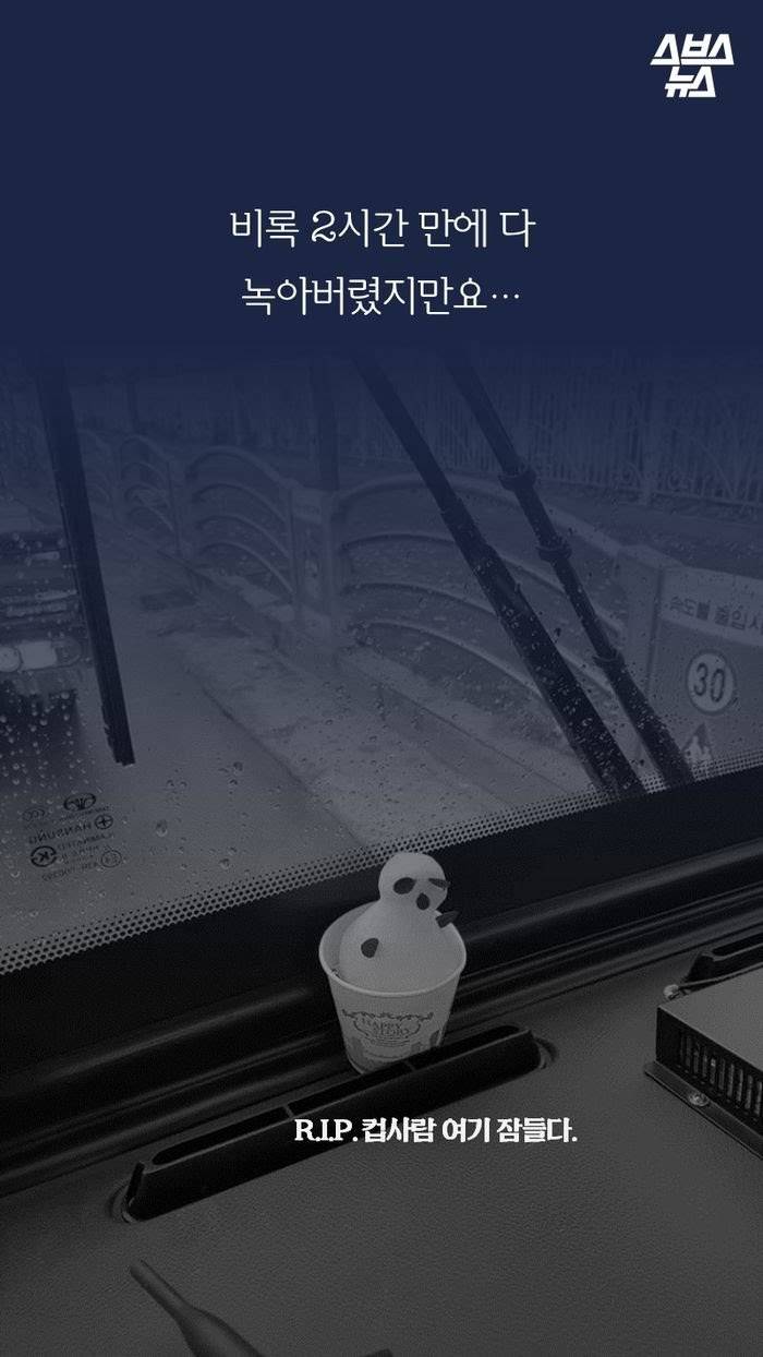 대구에서 제일 귀엽다는 버스기사 | 인스티즈