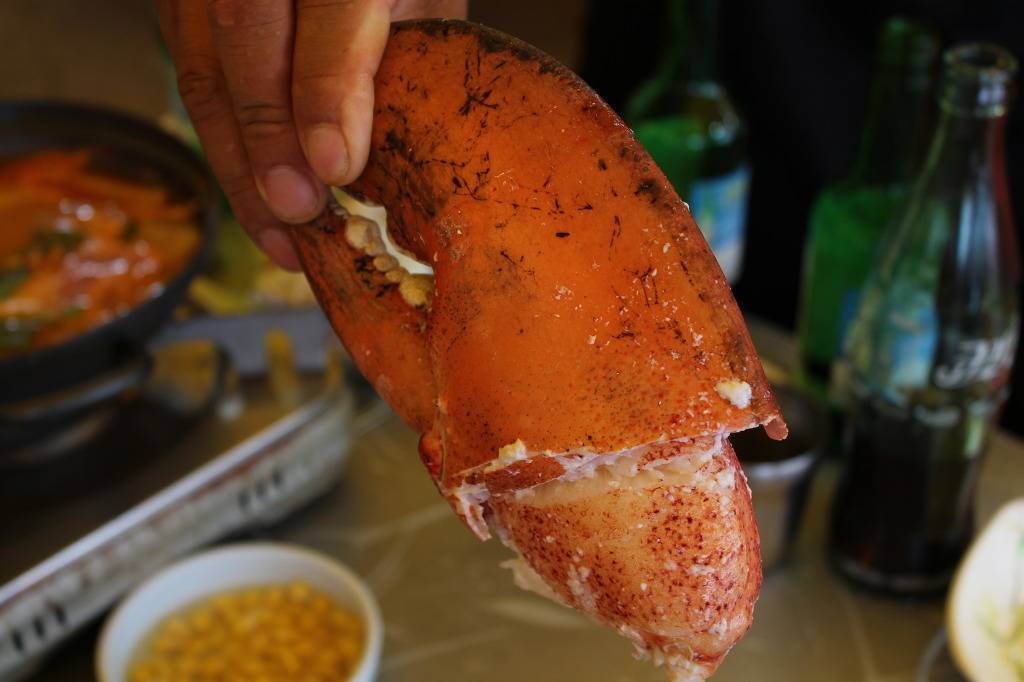 새우의 위엄.jpg | 인스티즈