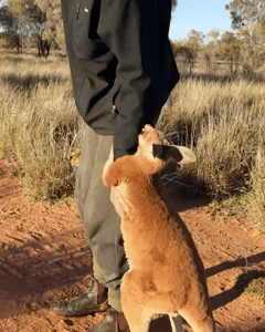 아빠 저거 사줘.gif | 인스티즈