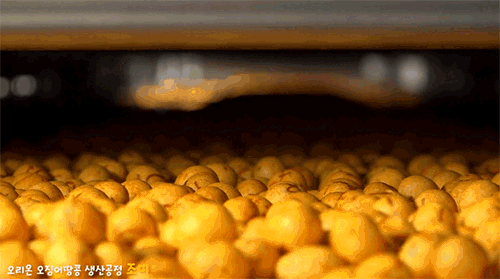 오땅의 탄생기(feat.띵콘땅콩) | 인스티즈