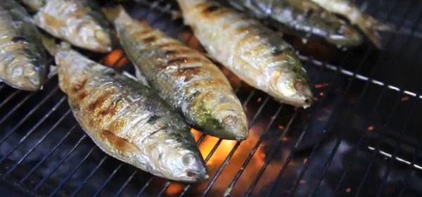 가을철에 꼭 먹어야 하는 음식 | 인스티즈