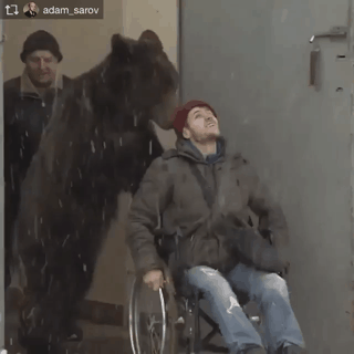 퇴원하는 러시아인.gif | 인스티즈