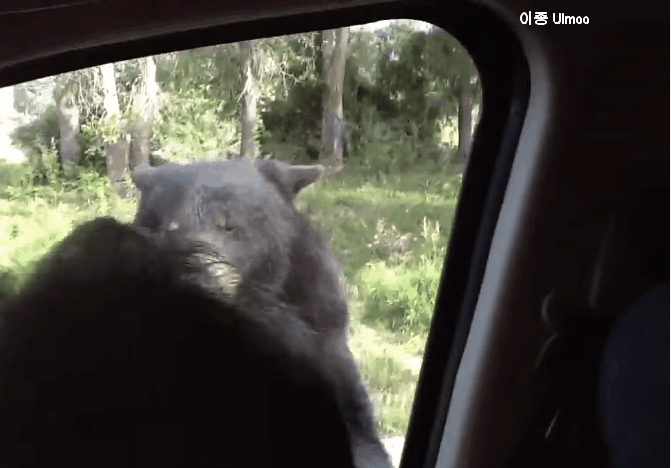 어느 상황이 더 무서울까요?(데이터 14메가) | 인스티즈