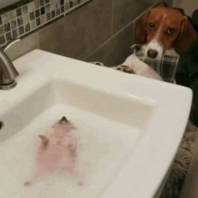 얘 주...죽었나요? | 인스티즈