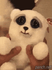 인형vs실물 | 인스티즈