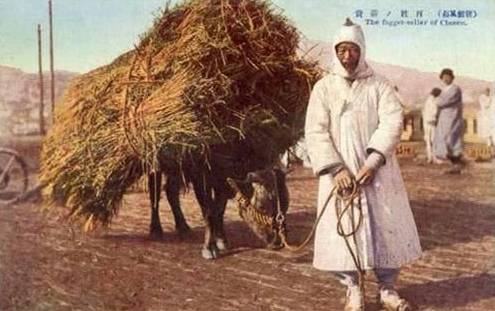 난 처음 보는 사진4 | 인스티즈