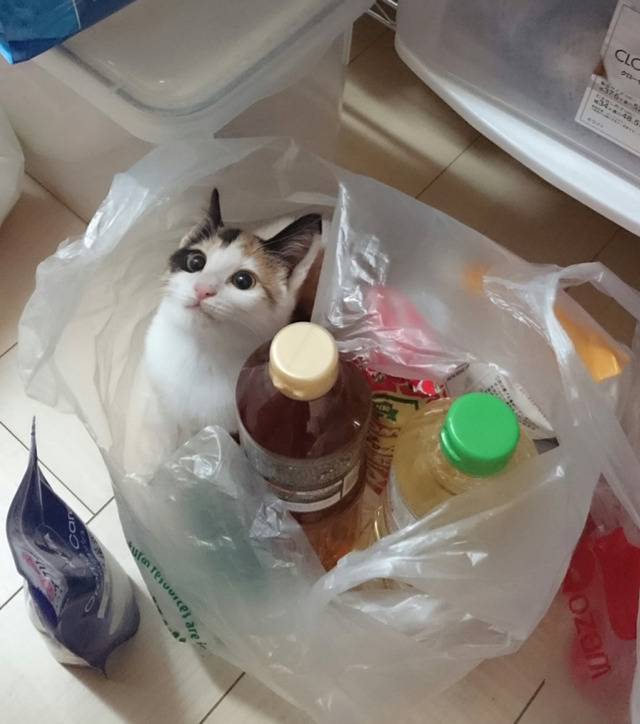 내가 이런걸 샀던가?? | 인스티즈