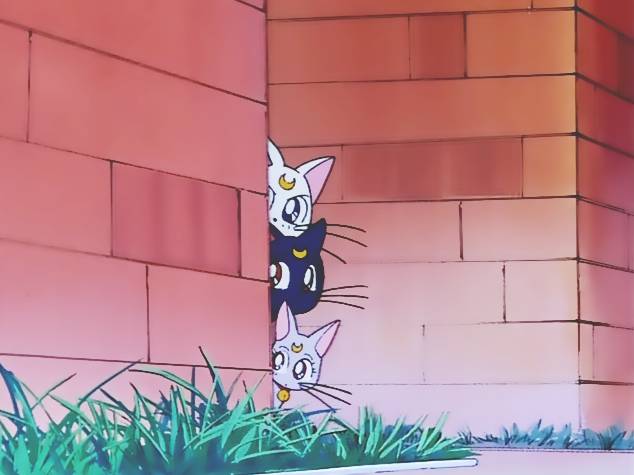 간단하게 의자를 귀엽게 만드는 방법 | 인스티즈