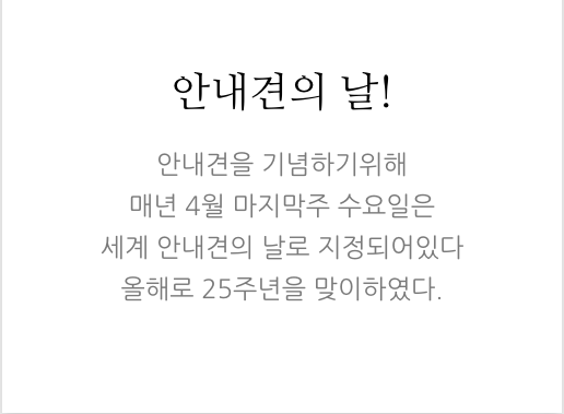 안내견에 대한 잘 몰랐던 사실들.. 그 개를 알고싶다! 안내견편!! | 인스티즈