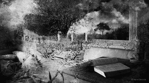  우리는 다른 세상에서 마주 본다 | 인스티즈