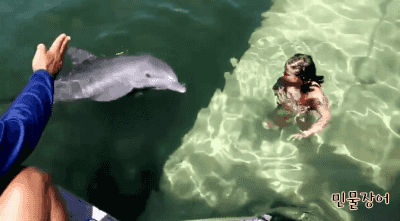 최고의 수영강사.gif | 인스티즈