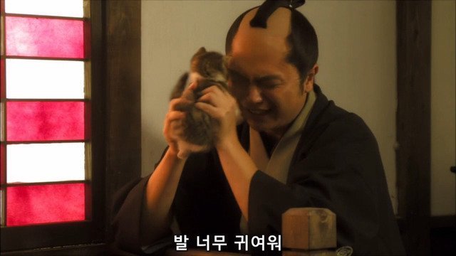 고양이를 키우는 사람들의 마음.jpg | 인스티즈