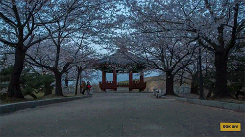 외국인의 눈에 비친 서울 | 인스티즈