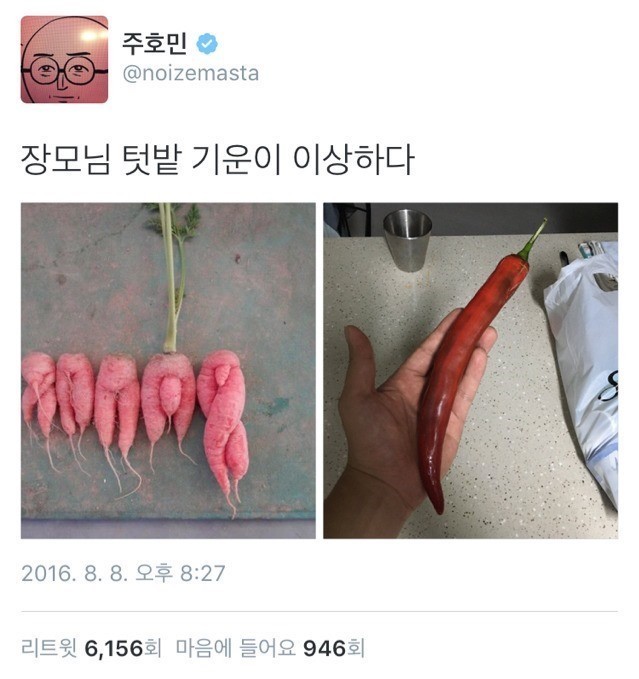 양기가 넘치는 주호민 작가 장모님 텃밭 | 인스티즈