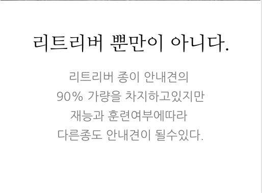 안내견에 대한 잘 몰랐던 사실들.. 그 개를 알고싶다! 안내견편!! | 인스티즈
