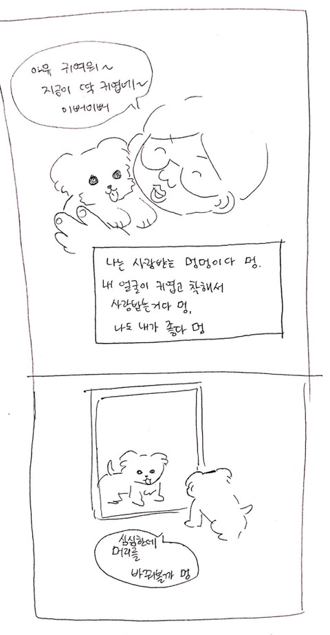 나의 아름다운 애완인간 | 인스티즈