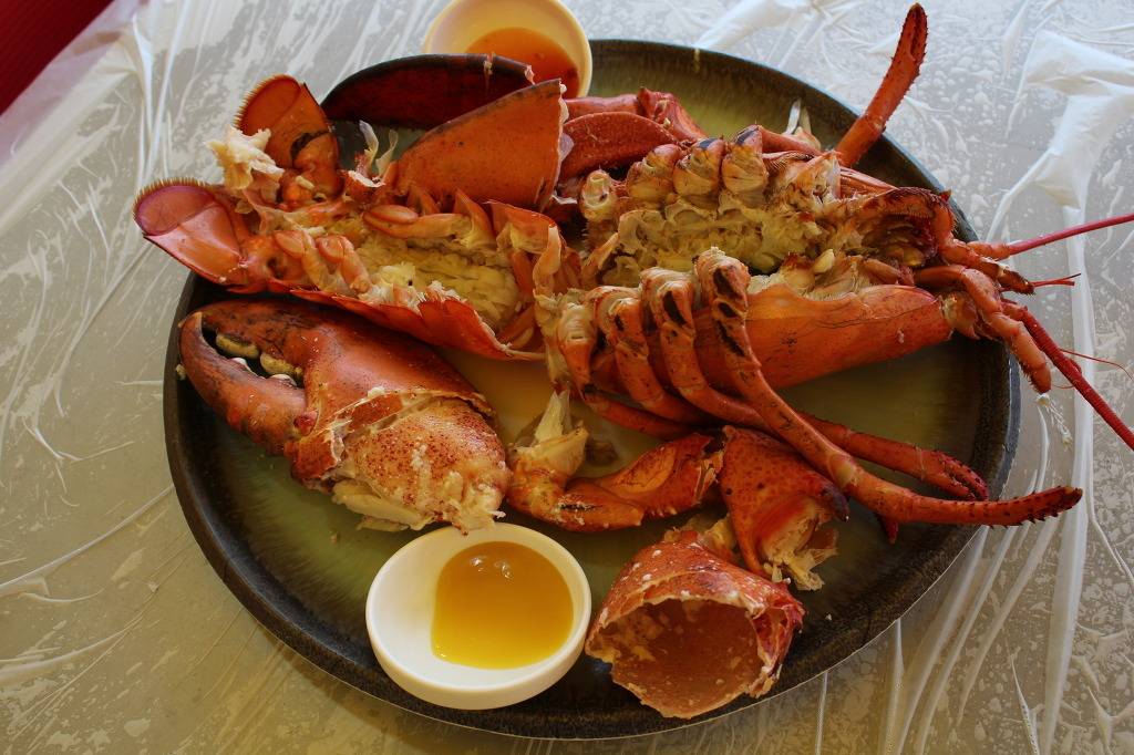 새우의 위엄.jpg | 인스티즈