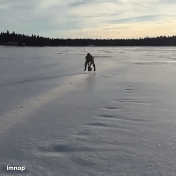 불곰국의 스케이팅 | 인스티즈