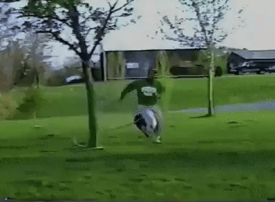 개러리스트 | 인스티즈