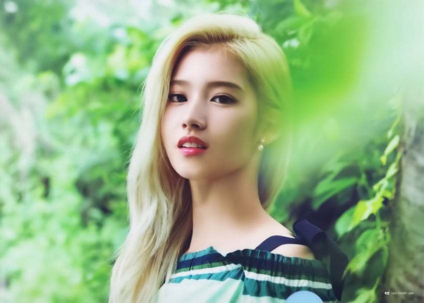 트와이스 L홀더 사진 | 인스티즈