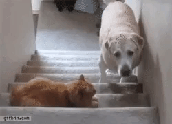 저... 좀 지나가겠습니다 | 인스티즈