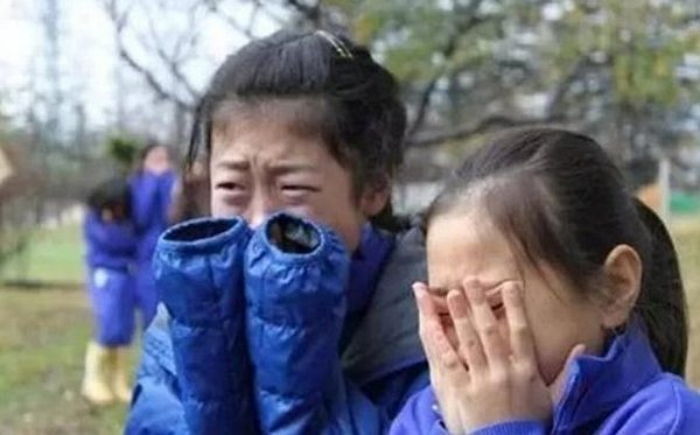 아이들이 5개월 동안 키운 돼지를 먹게 한 일본 초등학교 (충격주의) | 인스티즈