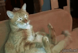 오작동.gif | 인스티즈