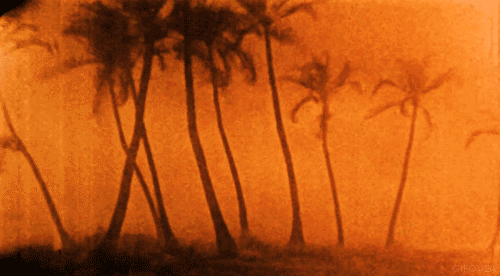 데이터주의) 핵폭탄의 위력 | 인스티즈