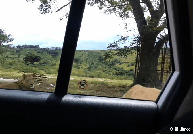 어느 상황이 더 무서울까요?(데이터 14메가) | 인스티즈