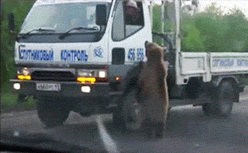 불곰국의 흔한 구걸 | 인스티즈