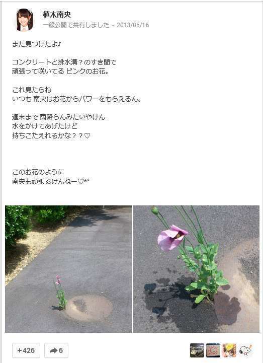 꽃에 물주다 경찰서간 일본 아이돌 | 인스티즈