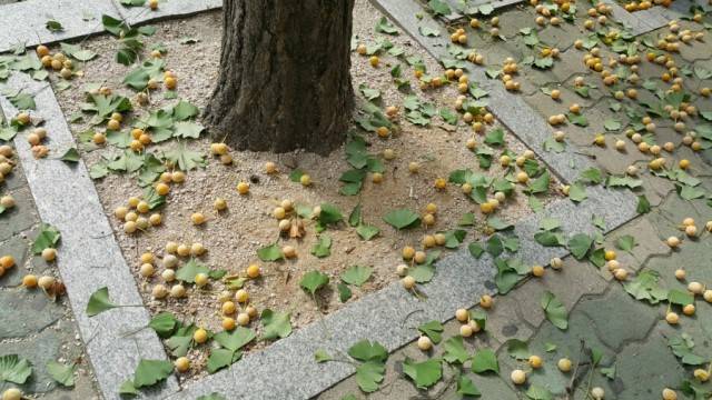 곧 만나게 될 아이들 | 인스티즈