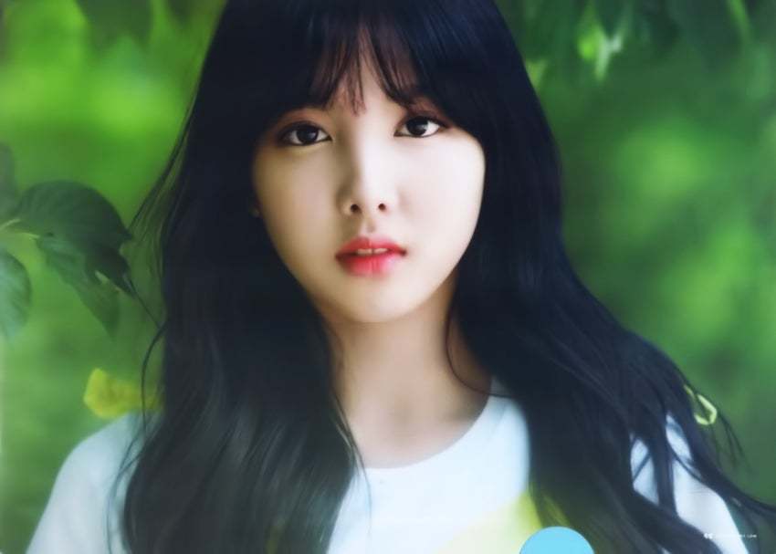 트와이스 L홀더 사진 | 인스티즈