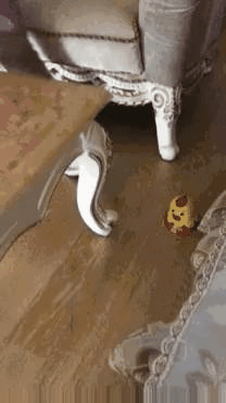 엄마 열받게하는 장난감.gif | 인스티즈