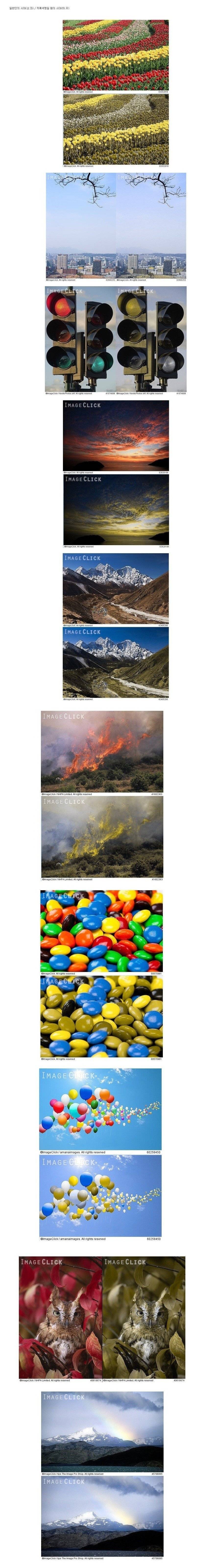 적녹색약이 있는 사람들은 구분이 안감 | 인스티즈