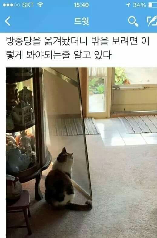 습관의 무서움.jpg | 인스티즈