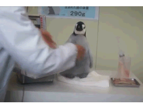 트와이스 미나 특징 | 인스티즈