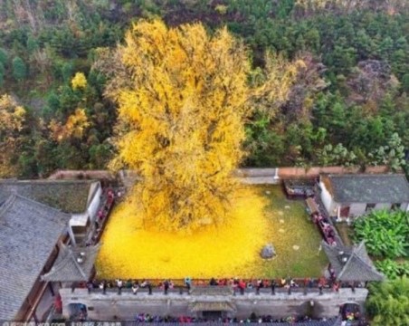 곧 만나게 될 아이들 | 인스티즈