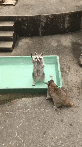 간식먹고싶은사람 | 인스티즈