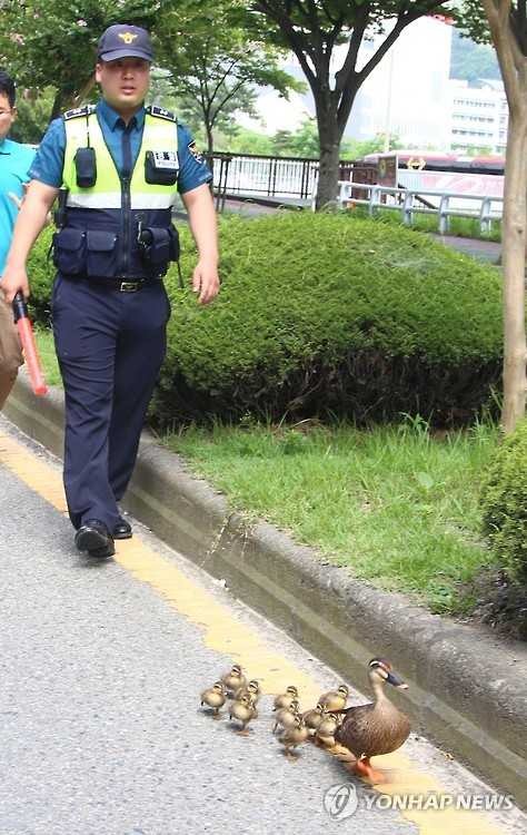 이사하는데 경찰 호위받음 | 인스티즈